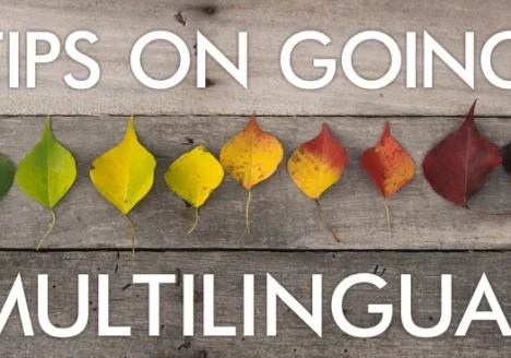 Tips on Going Multilingual